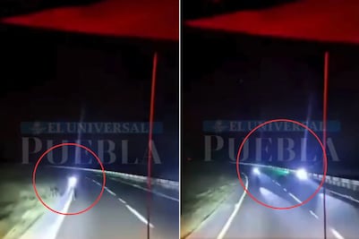 VIDEO Trailero arrolla a ladrón en la autopista Puebla-Orizaba