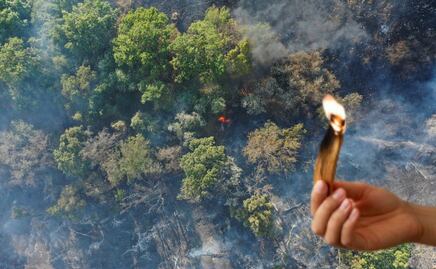 En Puebla 8 de cada 10 incendios forestales son provocados y deben ser sancionados