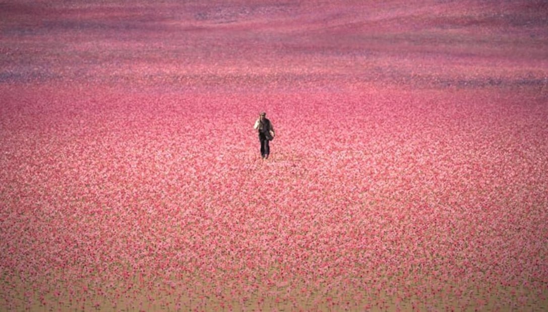 La Casa de los Espíritus cuenta con una fotografía espectacular, la cual ayuda a que el relato latinoamericano cobre vida como nunca antes | Foto: Prime Video