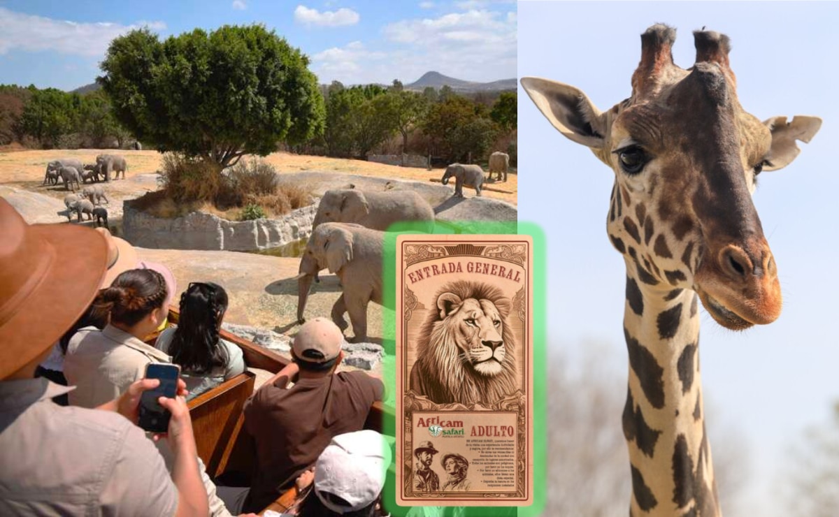 Cuánto cuesta la entrada a Africam Safari I Foto: Especial