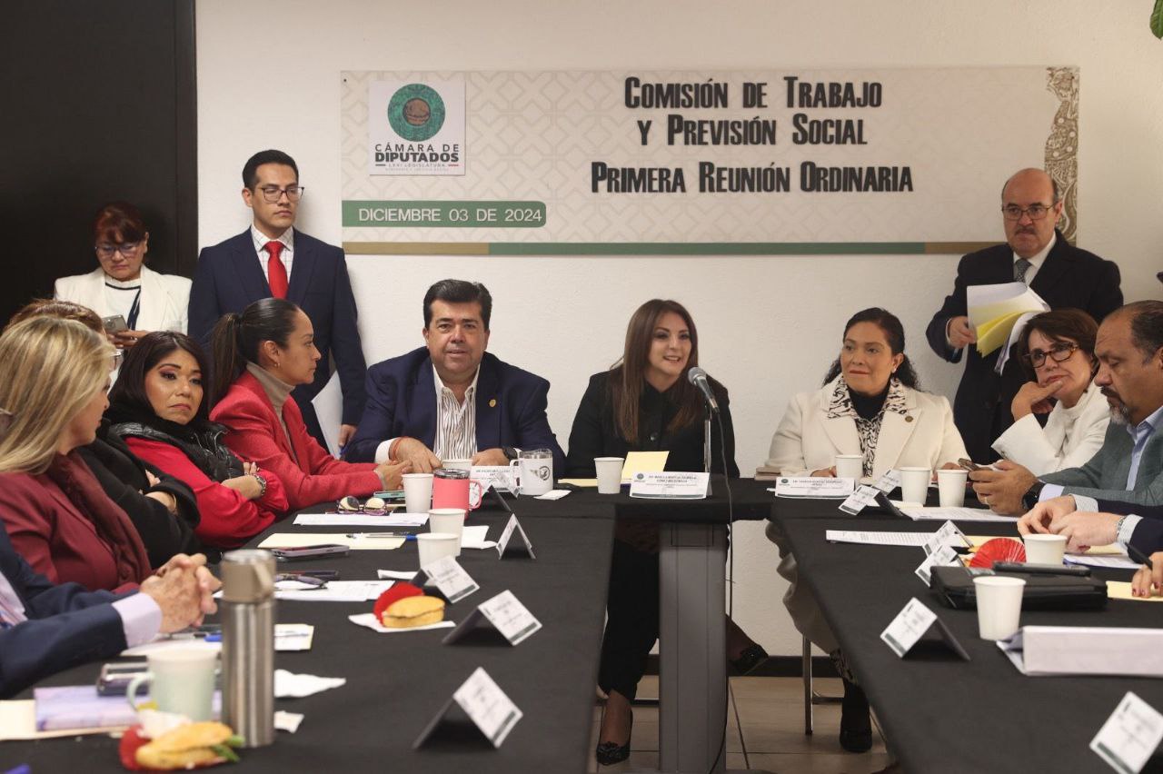 La diputada Maiella Gómez es presidenta de la Comisión de Trabajo | Foto: Especial