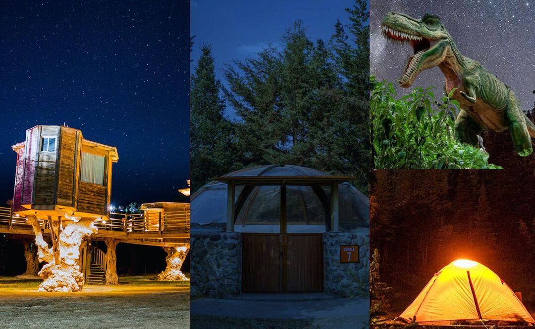 Dinosaurios, las estrellas, acampar, toda la diversión en este lugar | Foto Facebook Volcanic Park