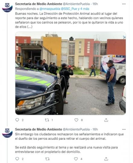 ¿Alimentan a pitbulls con carne de perro? Esto es lo que se sabe de video en Puebla 