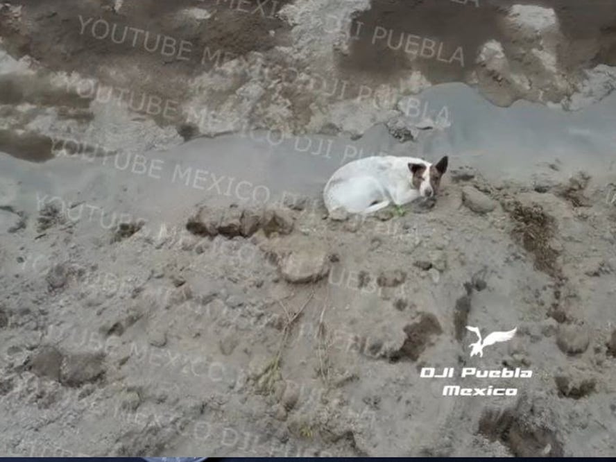 Imagen: Agencia Enfoque para El Universal Puebla