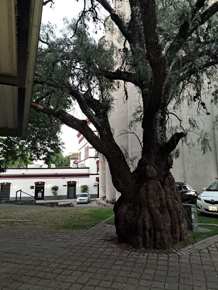 El molino de Huexotitla se ubica en la zona Dorada de Puebla | Facebook Puebla Antigua