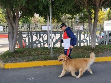 Perros y gatitos arman fiesta de responsabilidad y amor en Puebla