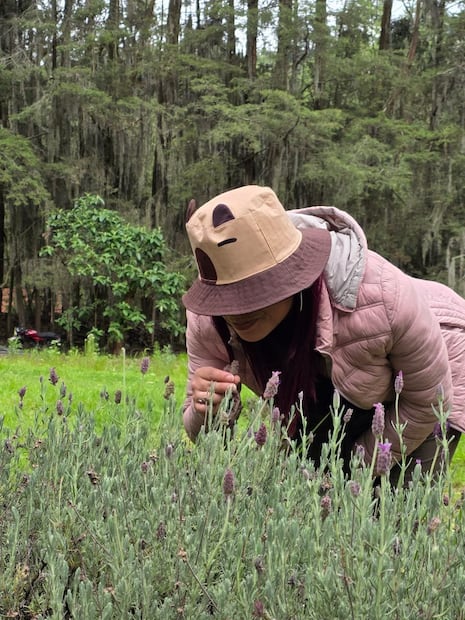 Foto: Rancho San Martín