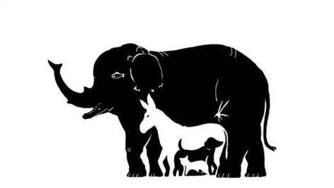 ¿Cuántos animales hay en la imagen? Este es el acertijo visual que mejorará tus habilidades mentales