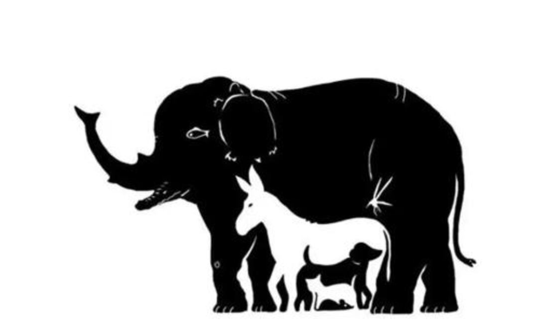 Cada detalle es importante para que funcionen la observación y el pensamiento lateral.
Foto: Producción El Universal