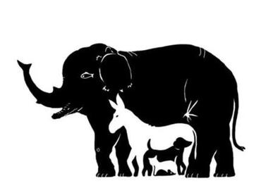 ¿Cuántos animales hay en la imagen? Este es el acertijo visual que mejorará tus habilidades mentales