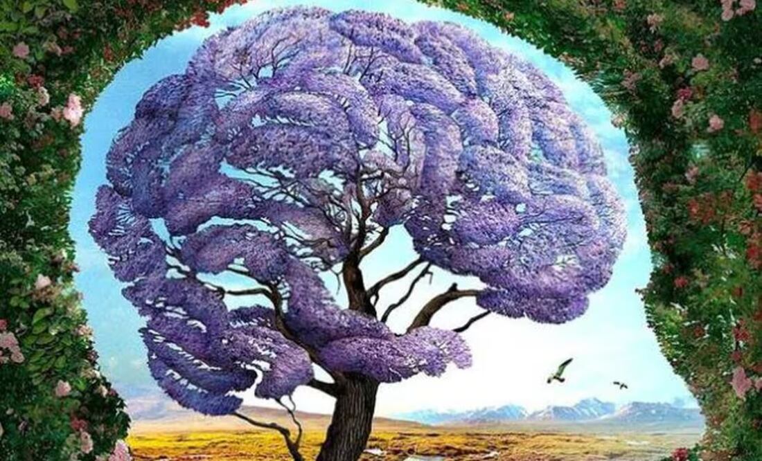 En la era de las redes sociales, los tests de personalidad y de agilidad mental se han convertido en una tendencia que ha llamado la atención de muchas personas, ya que se dice que este tipo de pruebas revelan aspectos importantes de nuestra psique.
Foto: Producción El Universal