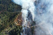 Buscan crear la figura de víctima de daño ambiental en Puebla 