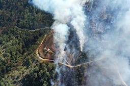 Buscan crear la figura de víctima de daño ambiental en Puebla