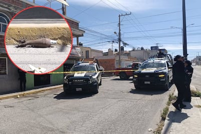 Fuerzas de seguridad desactivan torpedo en la colonia Constitución Mexicana