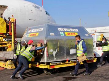 Puebla recibe 167 mil vacunas Pfizer para jóvenes de 15 a 17 años