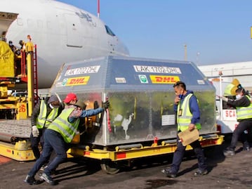 Puebla recibe 167 mil vacunas Pfizer para jóvenes de 15 a 17 años