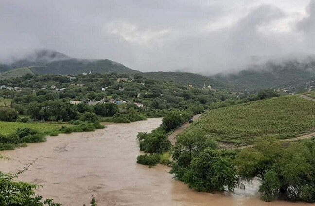 Esta situación ha tenido un impacto negativo en la productividad de comunidades como San Isidro, Rancho Nuevo, Juan N. Rojas y Peña Colorada, entre otras. 

Foto: Producción El Universal Puebla