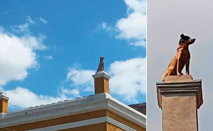 Por esta razón leones, perros y ángeles resguardan las antiguas construcciones de Puebla