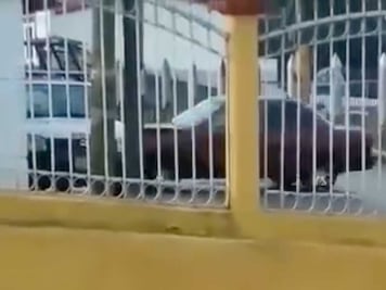 Automovilista choca patrulla para intentar atropellar a policías en Zacapoaxtla