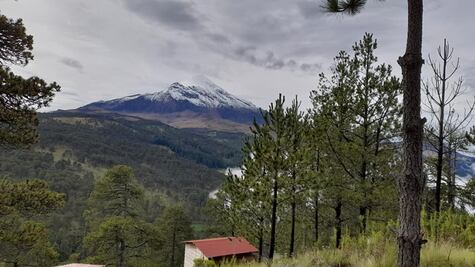 ¿Cuánto cuesta hospedarse en cabañas rústicas al pie del Pico de Orizaba?