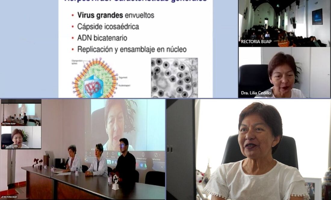 El simposio se realizó en el auditorio de posgrado de la Facultad de Medicina | Foto: Buap