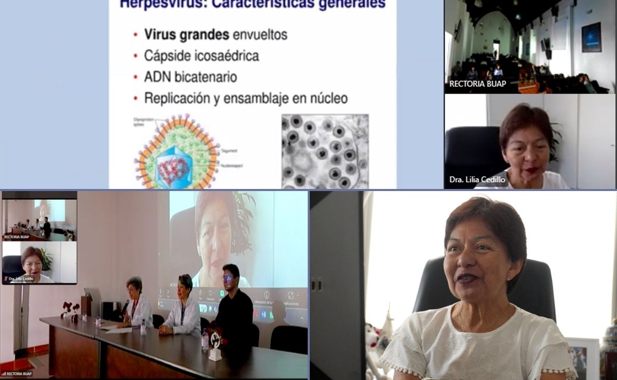 Las enfermedades infecciosas, un problema recurrente en el país : Lilia Cedillo