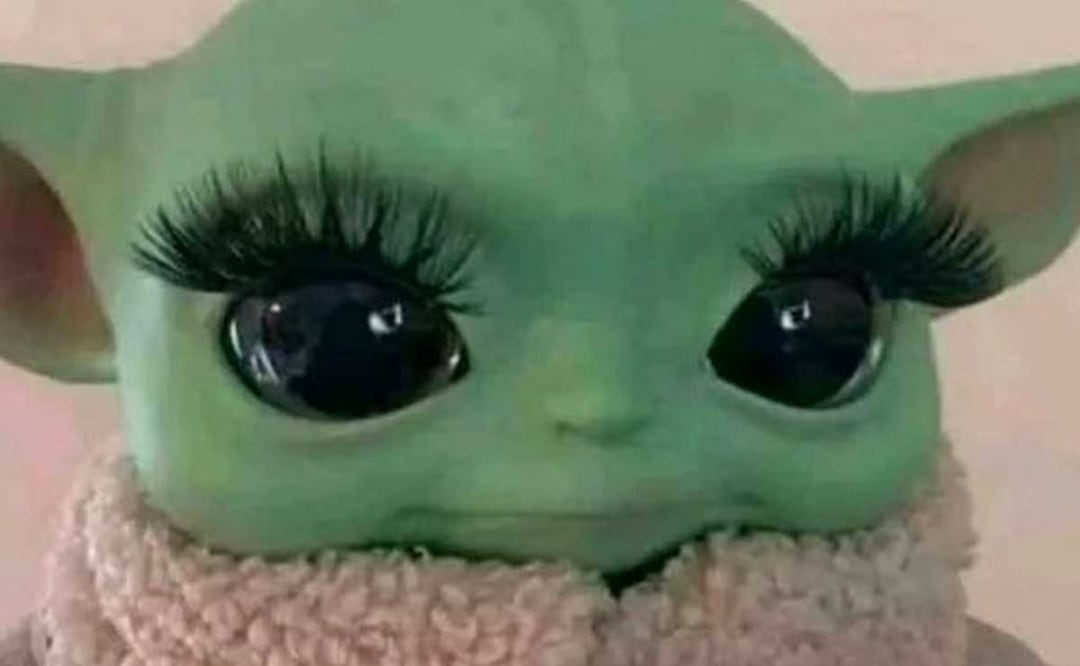 Foto: Redes Sociales