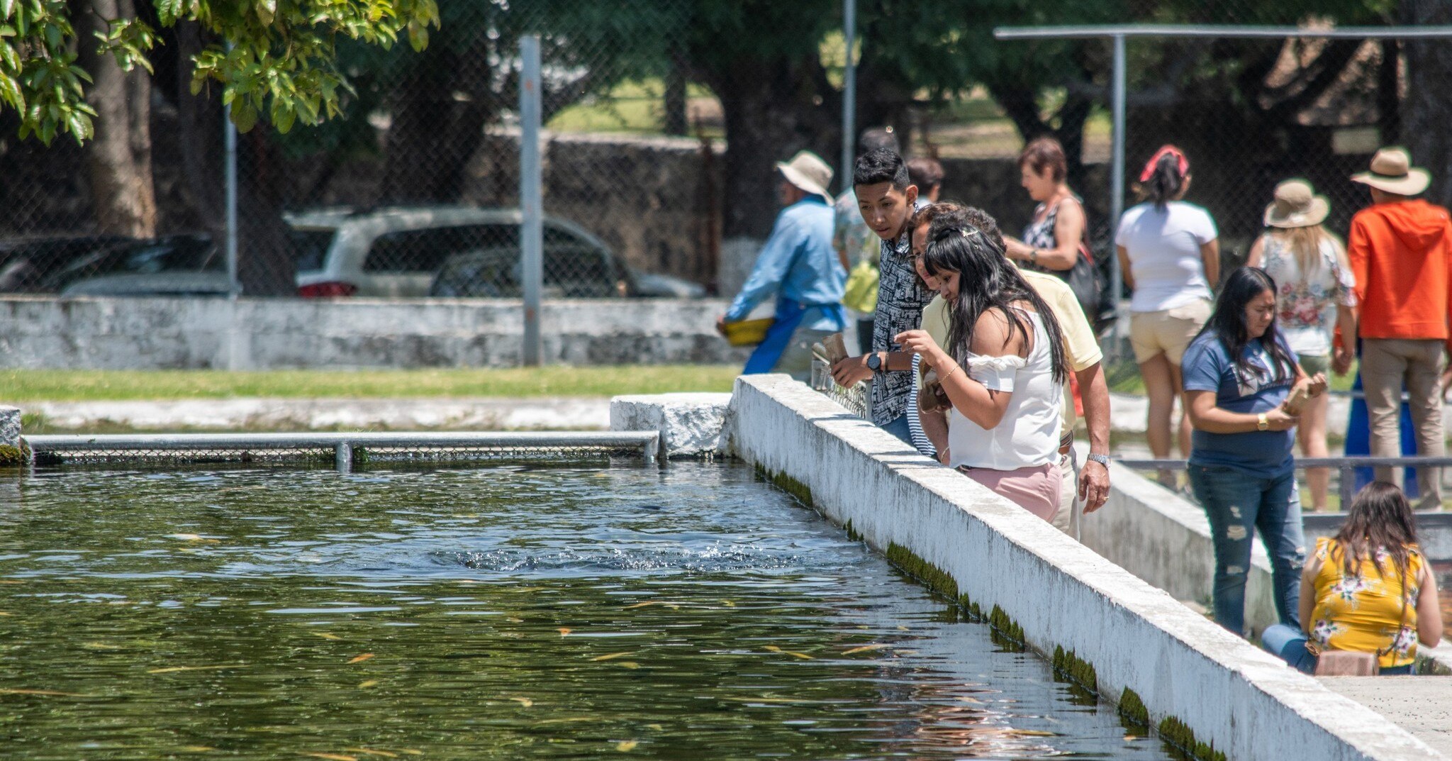 En Puebla puedes relajarte pescando / Facebook 
Granja Piscícola Xouilin  
