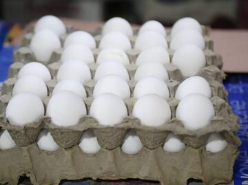 Aumenta precio del huevo en Puebla tras muerte de gallinas por la ola de calor