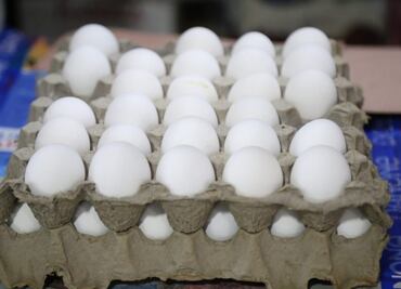 Aumenta precio del huevo en Puebla tras muerte de gallinas por la ola de calor