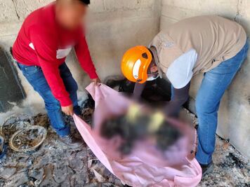 528 animalitos murieron en explosión de San Pablo Xochimehuacán