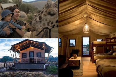 Dormir entre jirafas: así es el glamping que te hace sentir en la sabana africana