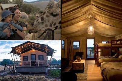 Dormir entre jirafas: así es el glamping que te hace sentir en la sabana africana