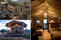 Dormir entre jirafas: así es el glamping que te hace sentir en la sabana africana