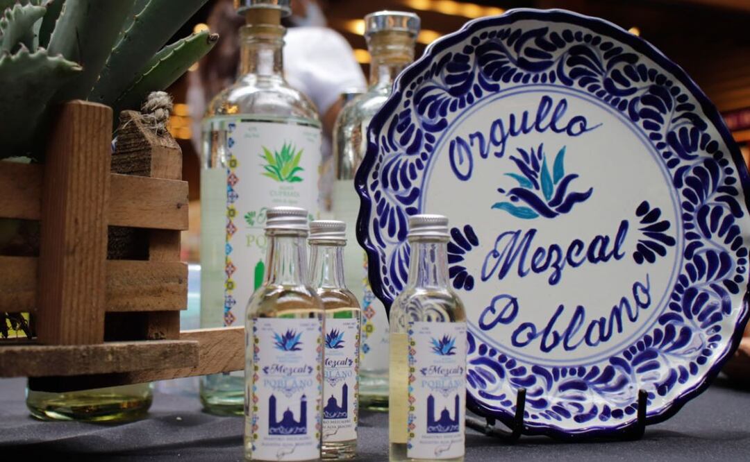 El gobierno estatal busca que Puebla incremente la producción de mezcal a 1 millón de litros al año | Foto: Agencia Es Imagen para El Universal Puebla