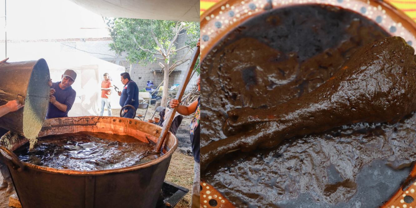 Variedades de mole / Foto EsImagen