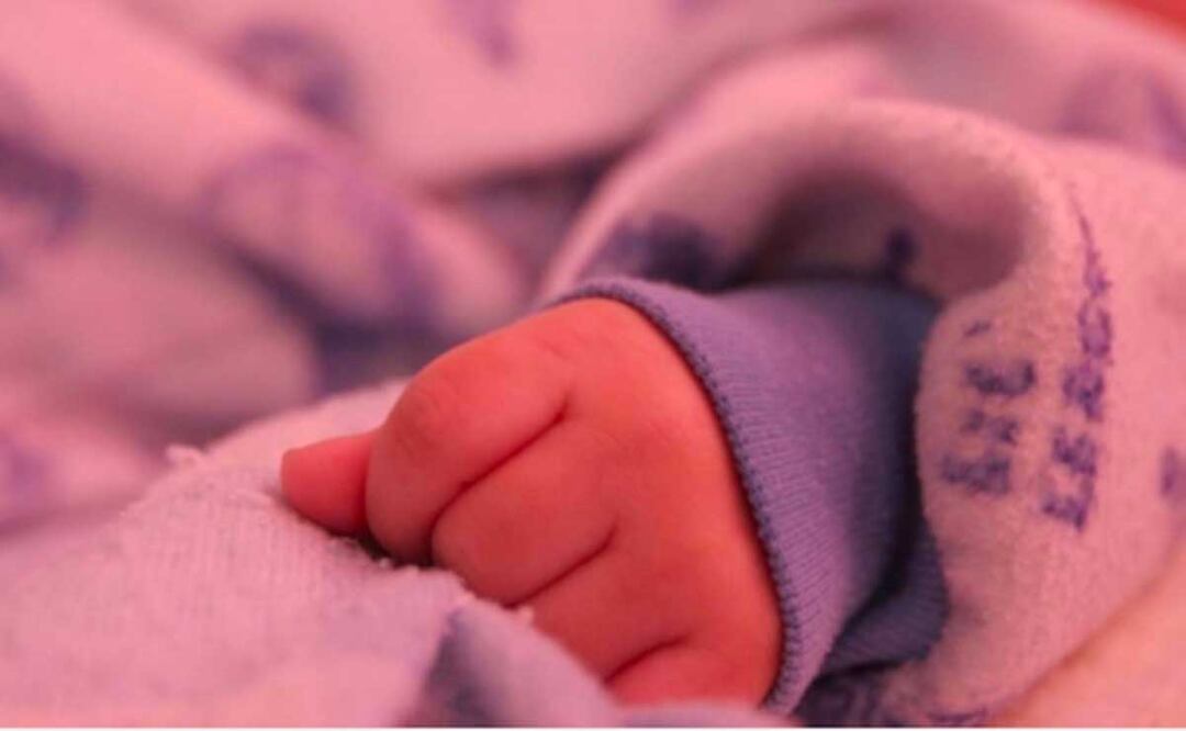 Foto: Archivo El Universal