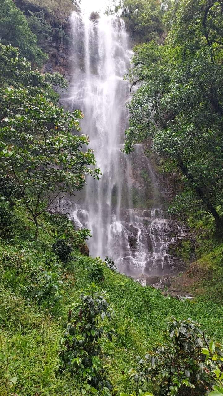 Foto: Ahuacatlán Puebla