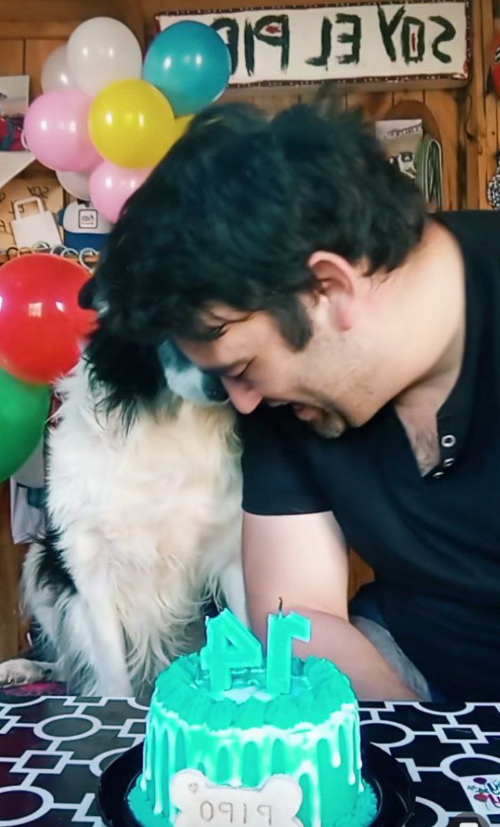 Dueño organiza cumpleaños a su perro Pipo y conmueve a millones en redes sociales