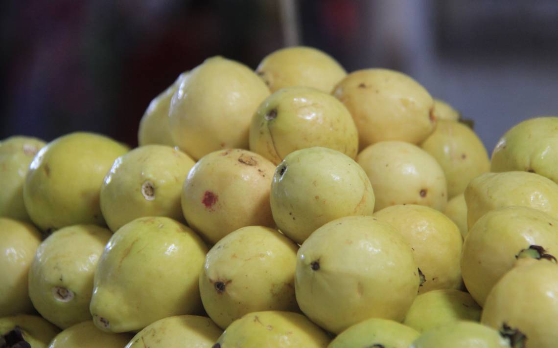 La guayaba es una planta que se cultiva en todas las zonas tropicales y subtropicales del mundo. Aunque se recomienda consumirla durante todo el año, su consumo es especialmente beneficioso en invierno. 

Foto: Producción El Universal Puebla
