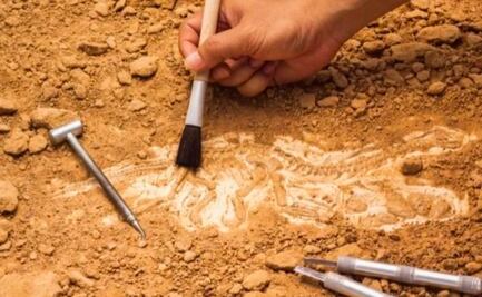 Continúan hallazgos arqueológicos en Cholula; descubren 9 entierros infantiles