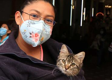 Día Mundial de Amar a tu Mascota. Siete de cada diez hogares tienen su compañía