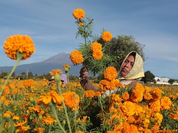 ¿Por qué se llama Atlixco de las Flores?