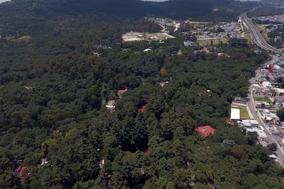 En Flor del Bosque no hay tala de árboles, revira Barbosa