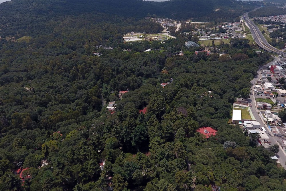 En Flor del Bosque no hay tala de árboles, revira Barbosa