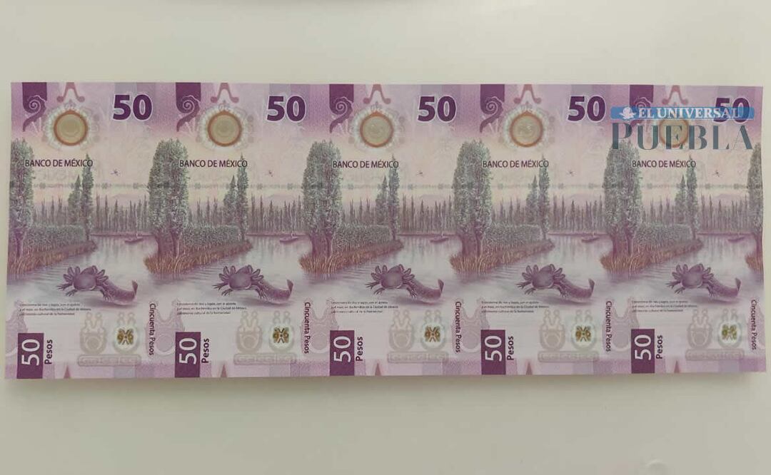 Los fragmentos de hoja de billetes contienen 5 ejemplares. Foto: Demian Magallán