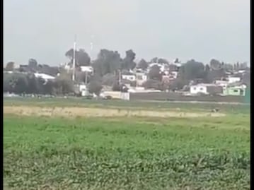 ¡Ay, no! Dos perritos cayeron al socavón, rescate es riesgoso