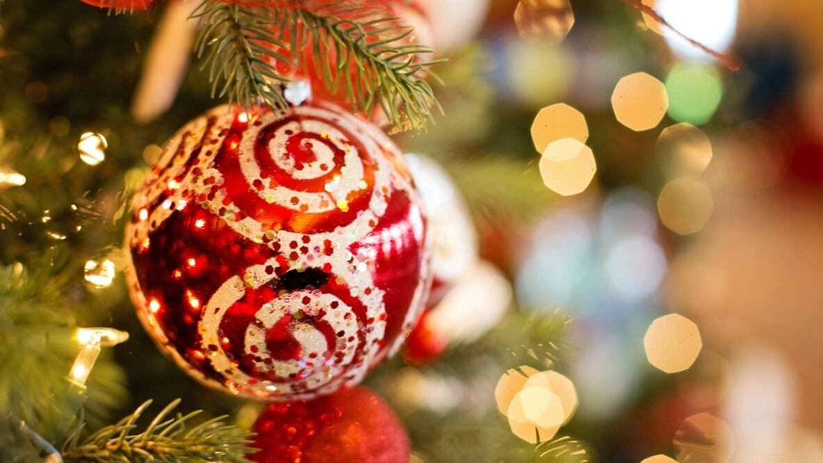 ¿Qué día se debe poner el árbol de Navidad?