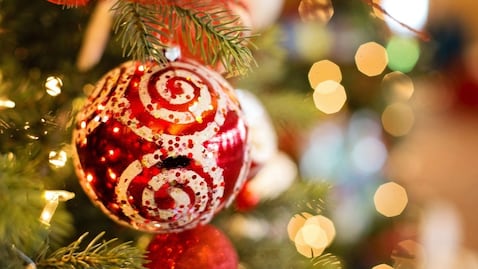 ¿Qué día se debe poner el árbol de Navidad?