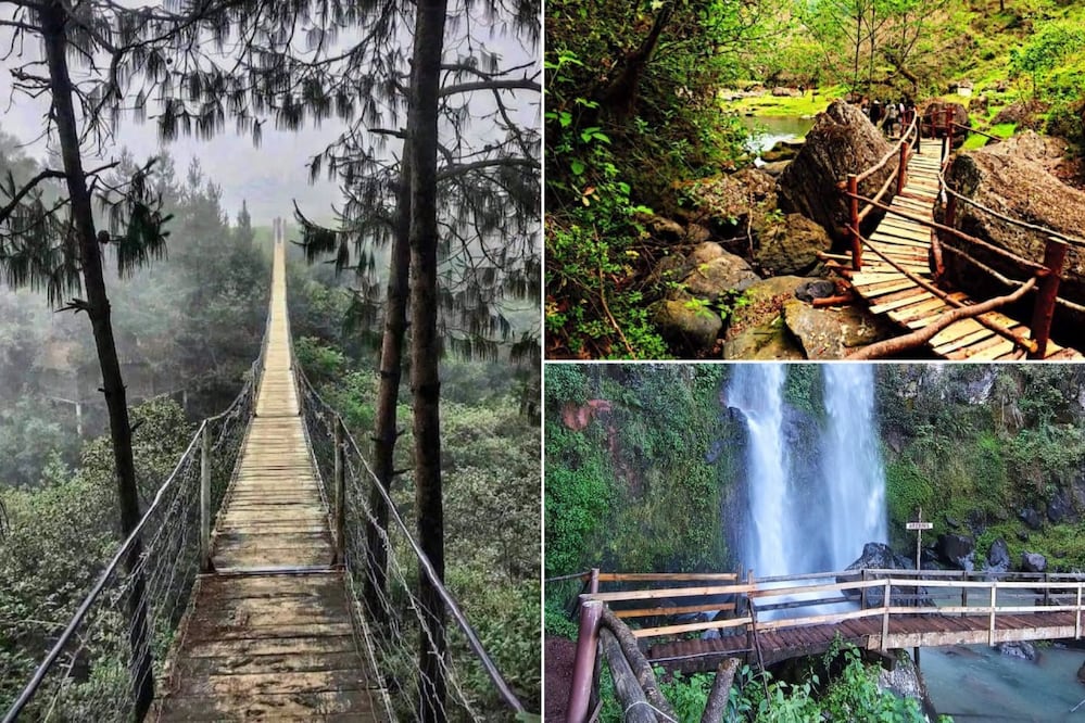 Honey ofrece paisajes de bosque, neblina y cascadas para una escapada durante octubre | Foto: FB Dreams Trips / FB 10 Cascadas Arcoiris, Honey, Puebla / Honey Puebla